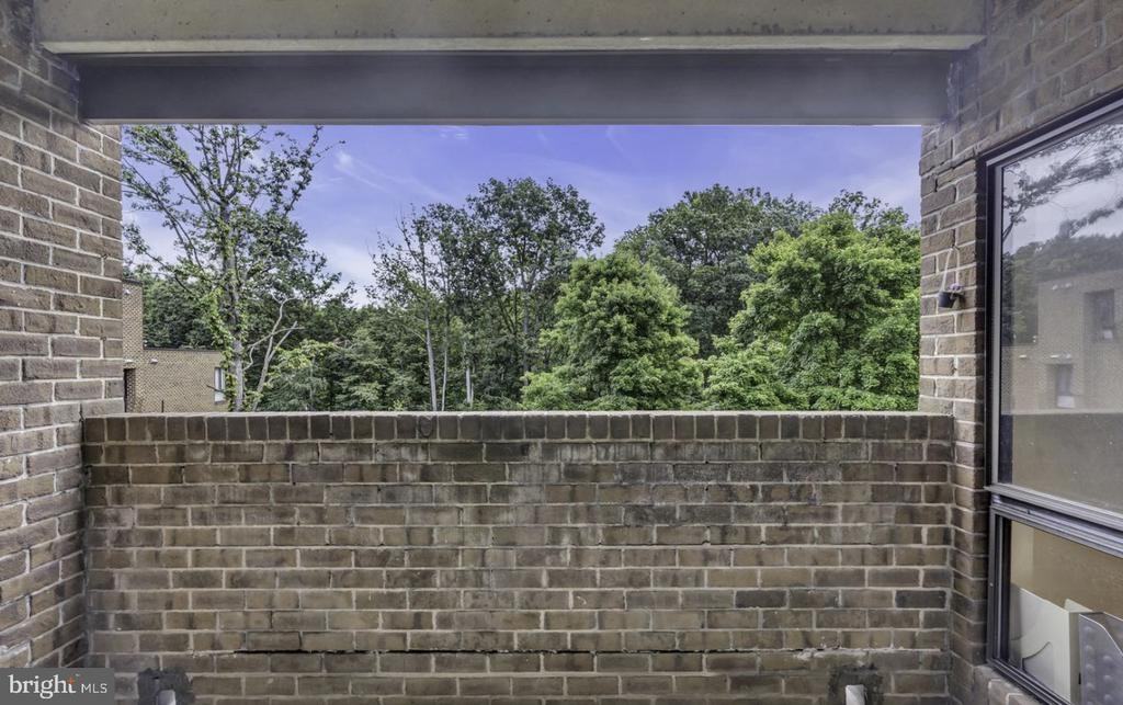 11232 Chestnut Grove Sq ##335 - Photo 6 of 22