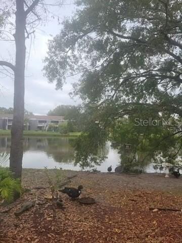 4011 Muriel Pl #1C - Photo 5 of 18