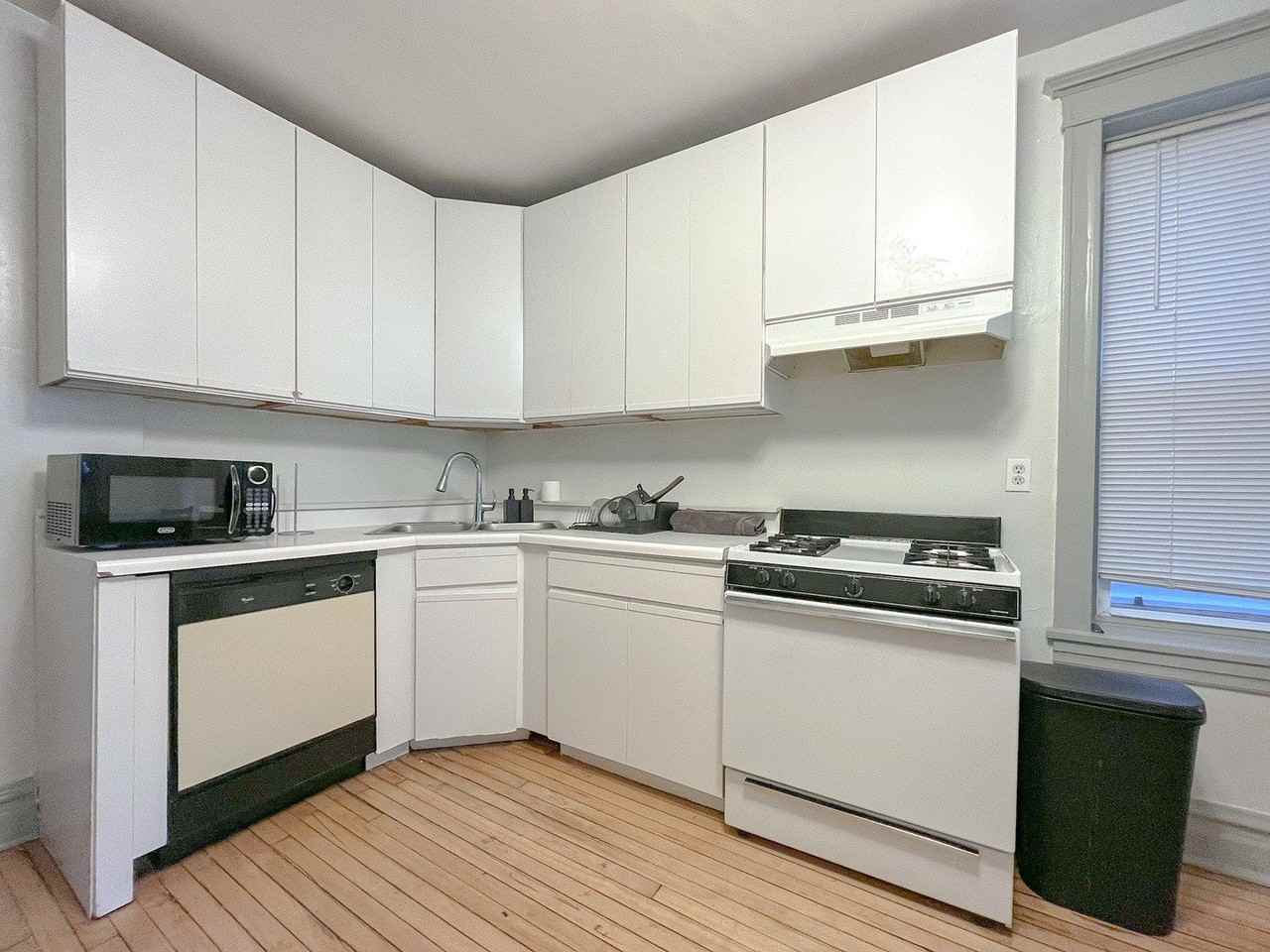 2442 N Ashland Ave Apt 1 - Photo 6 of 15