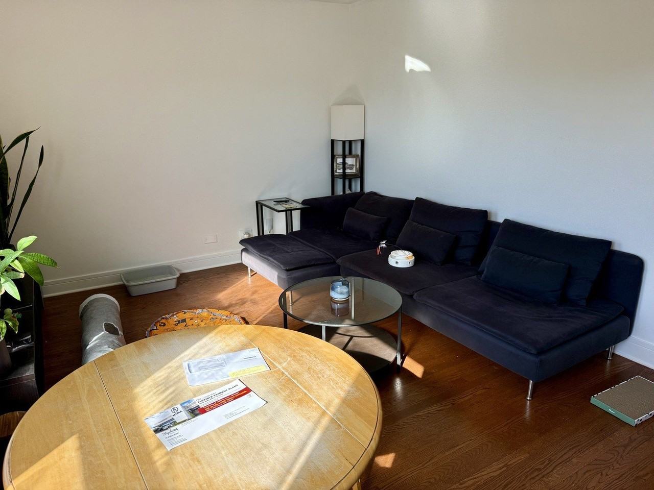 4954 W Cullom Ave Unit 2 - Photo 3 of 13