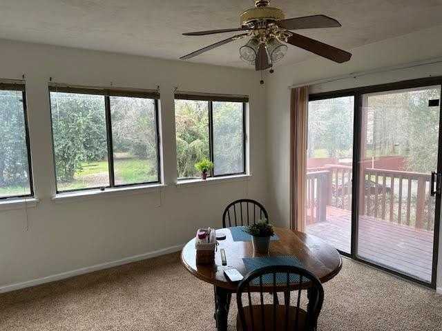 1315 Airport Dr Apt B2 #B2 - Photo 4 of 33