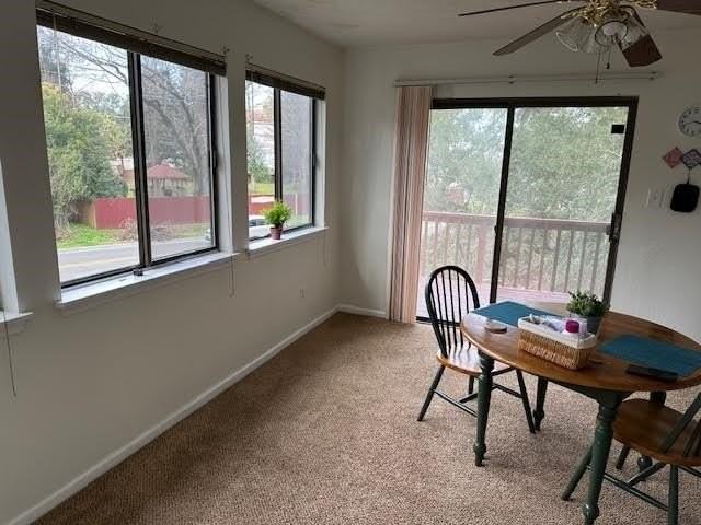 1315 Airport Dr Apt B2 #B2 - Photo 5 of 33