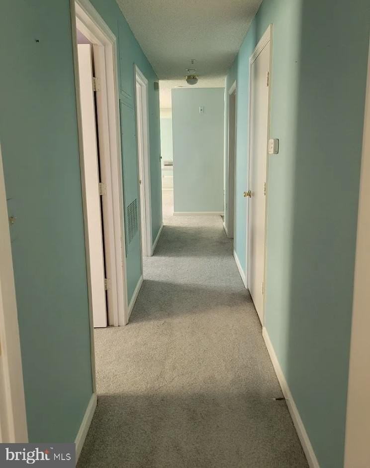 2806 Clear Shot Dr Apt 3-29 - Photo 3 of 6