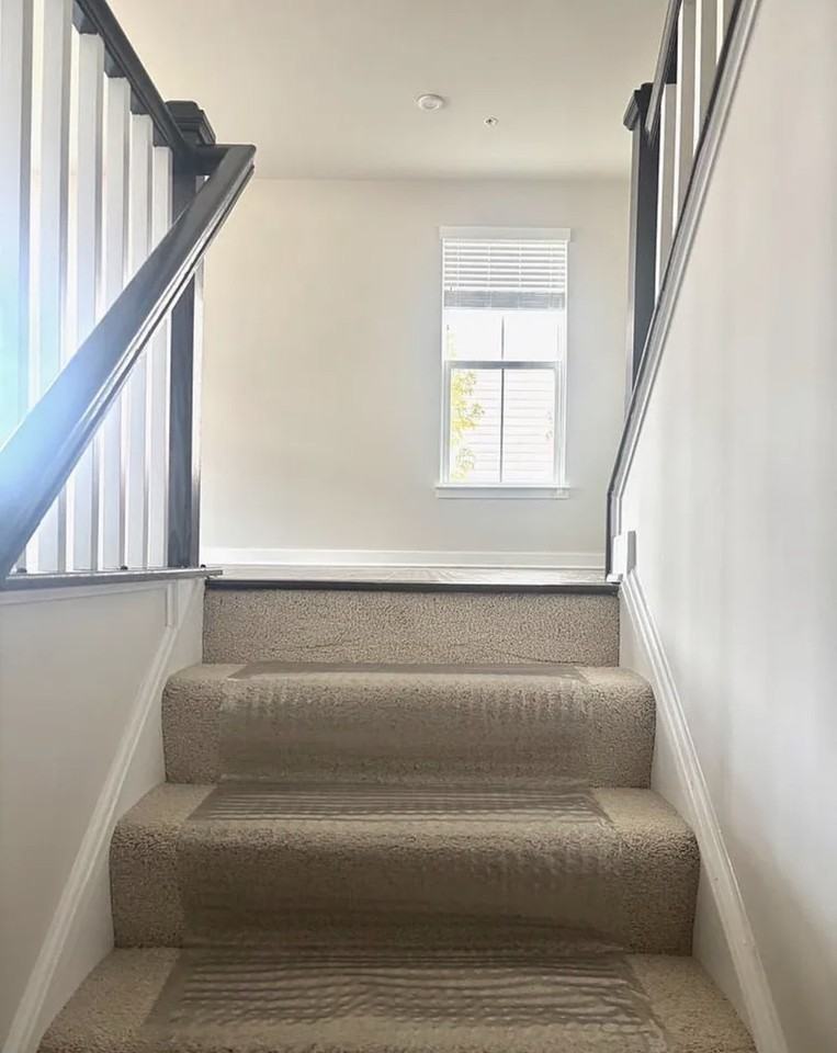 3823 Effie Fox Way - Photo 7 of 10