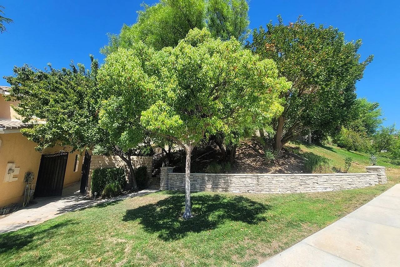 28455 Santa Catarina Rd - Photo 2 of 15