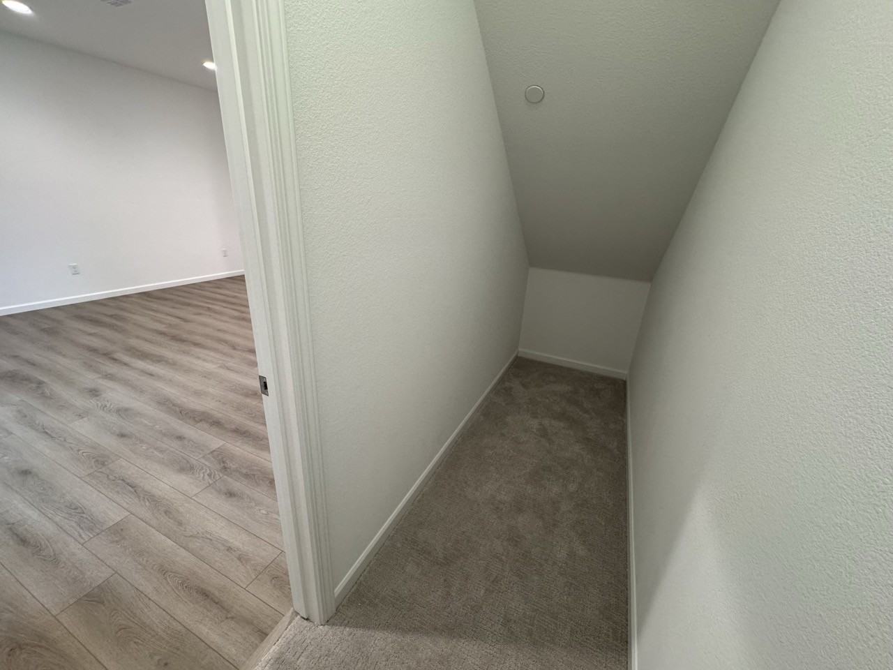 6333 Dandelion St #NA - Photo 3 of 38