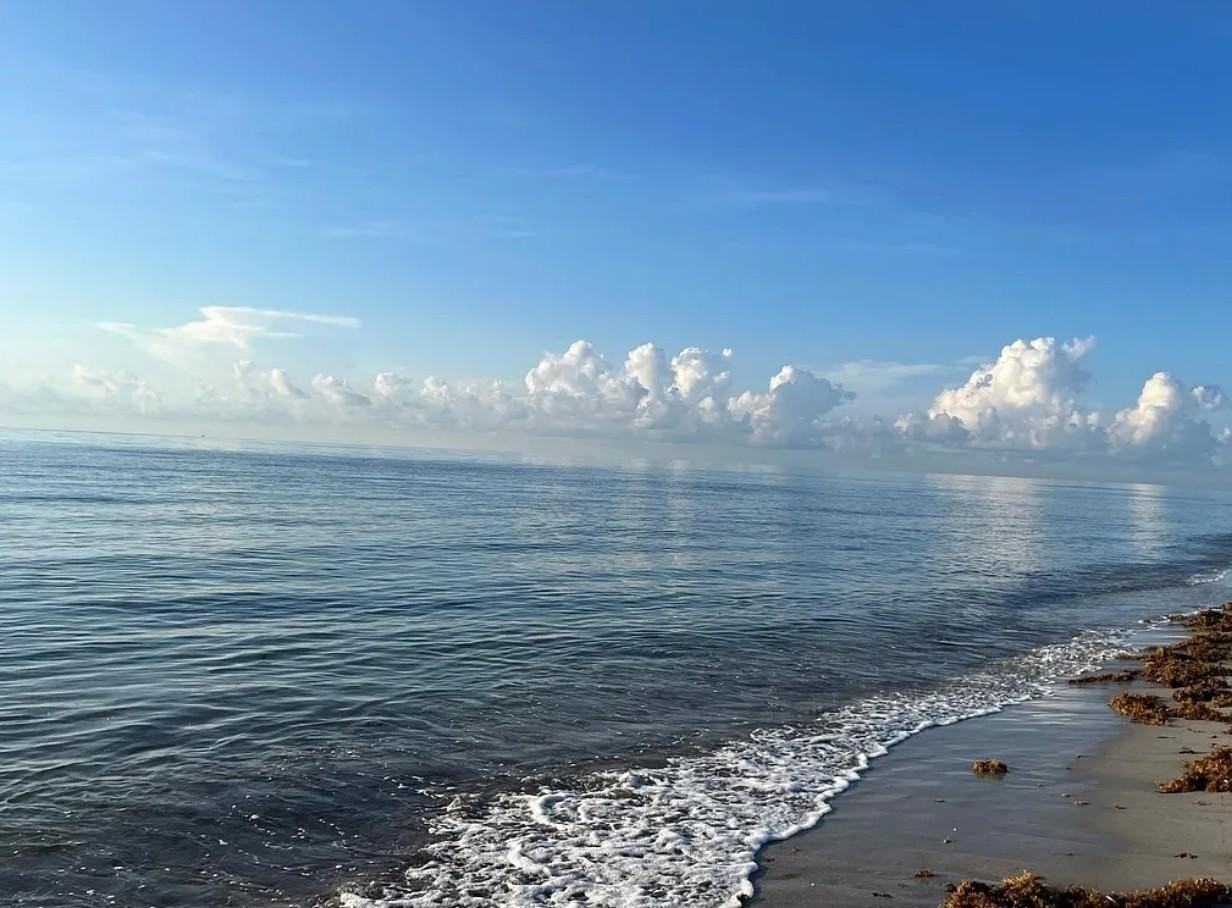 3222 Marine Dr - Photo 4 of 4