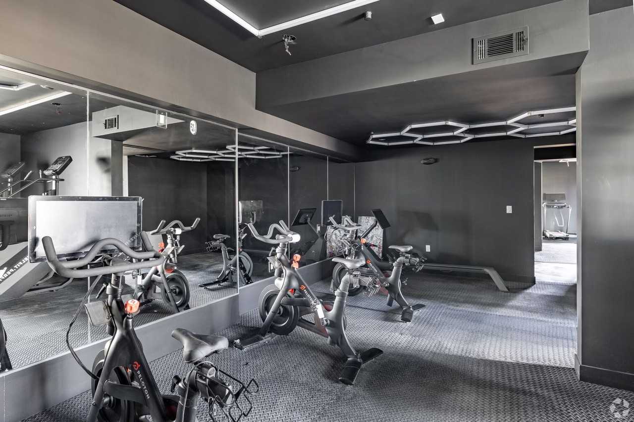 The Brightly - Photo 6 of 50