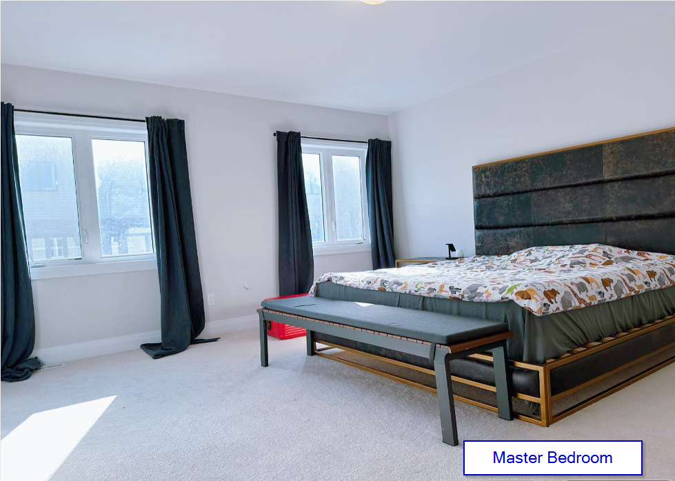 613 Wild Rye Street - Photo 4 of 17