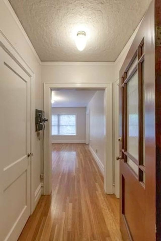 ELIZABETH APARTMENTS (ELIZ01) - Photo 3 of 50