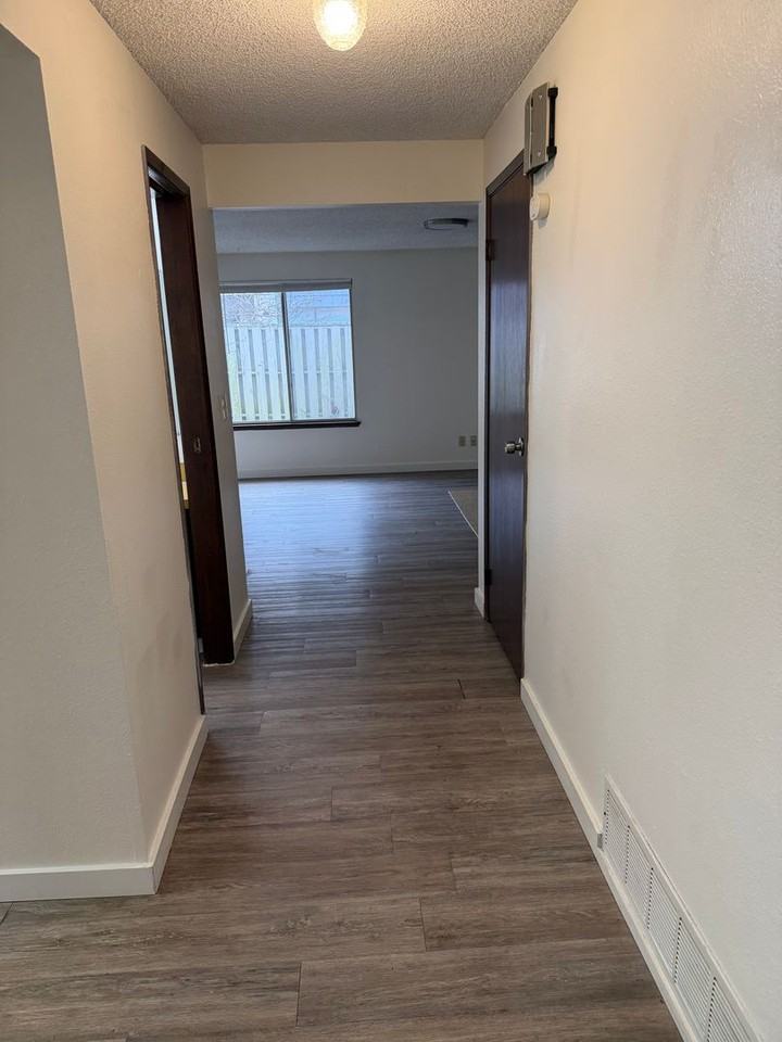 Strawberry Patch in Bellevue - Photo 2 of 44