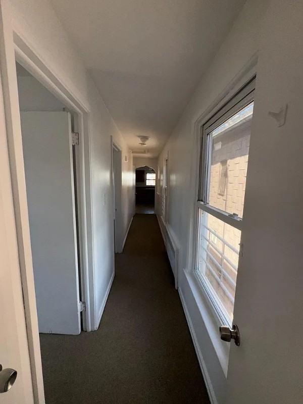 233 Washington Ave #FL2 - Photo 3 of 7