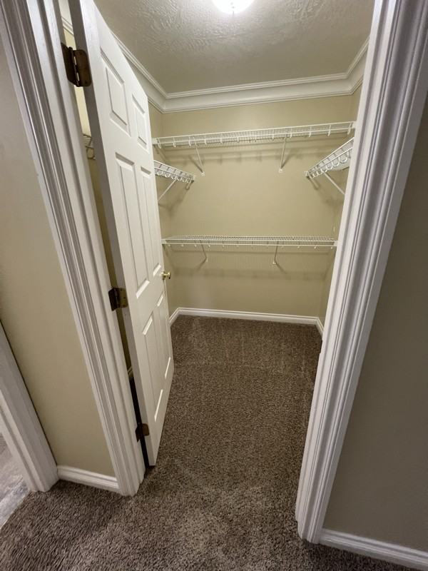 4409 2nd Ave N #2 - Photo 6 of 7