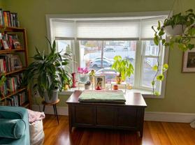 52 Bolton St #52 - Photo 1 of 1