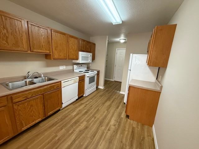 15123 Janus Road #B - Photo 6 of 10