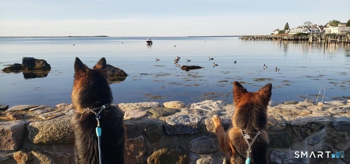 117 Water St Ste 1 - Photo 4 of 13