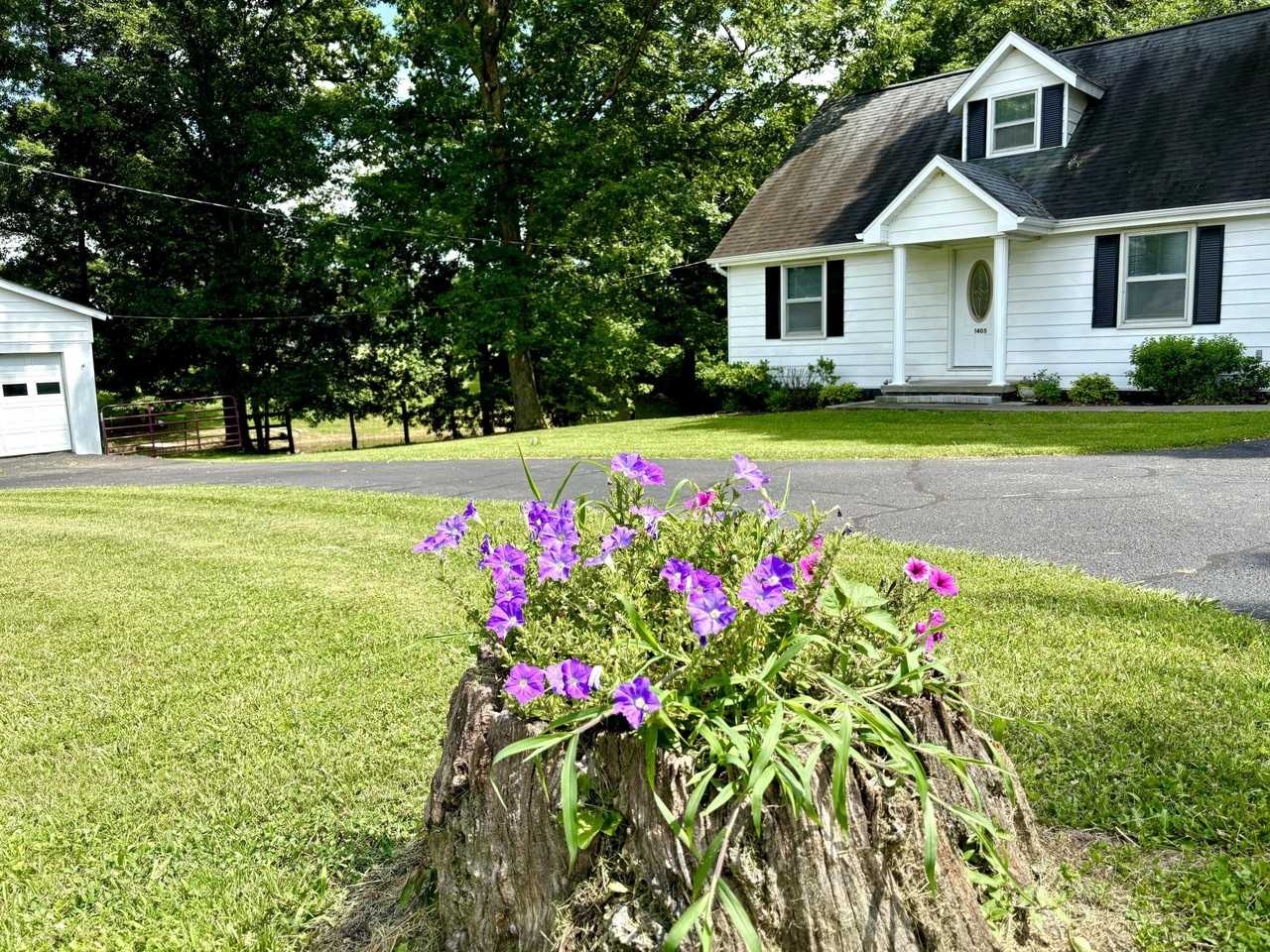 1405 Webb Ridge Rd - Photo 2 of 50