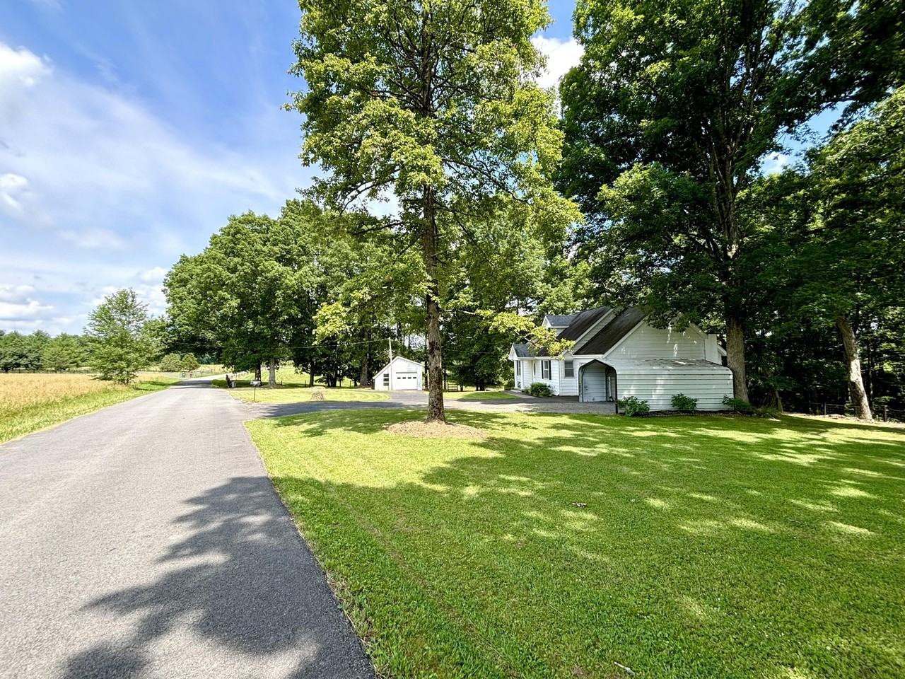 1405 Webb Ridge Rd - Photo 4 of 50