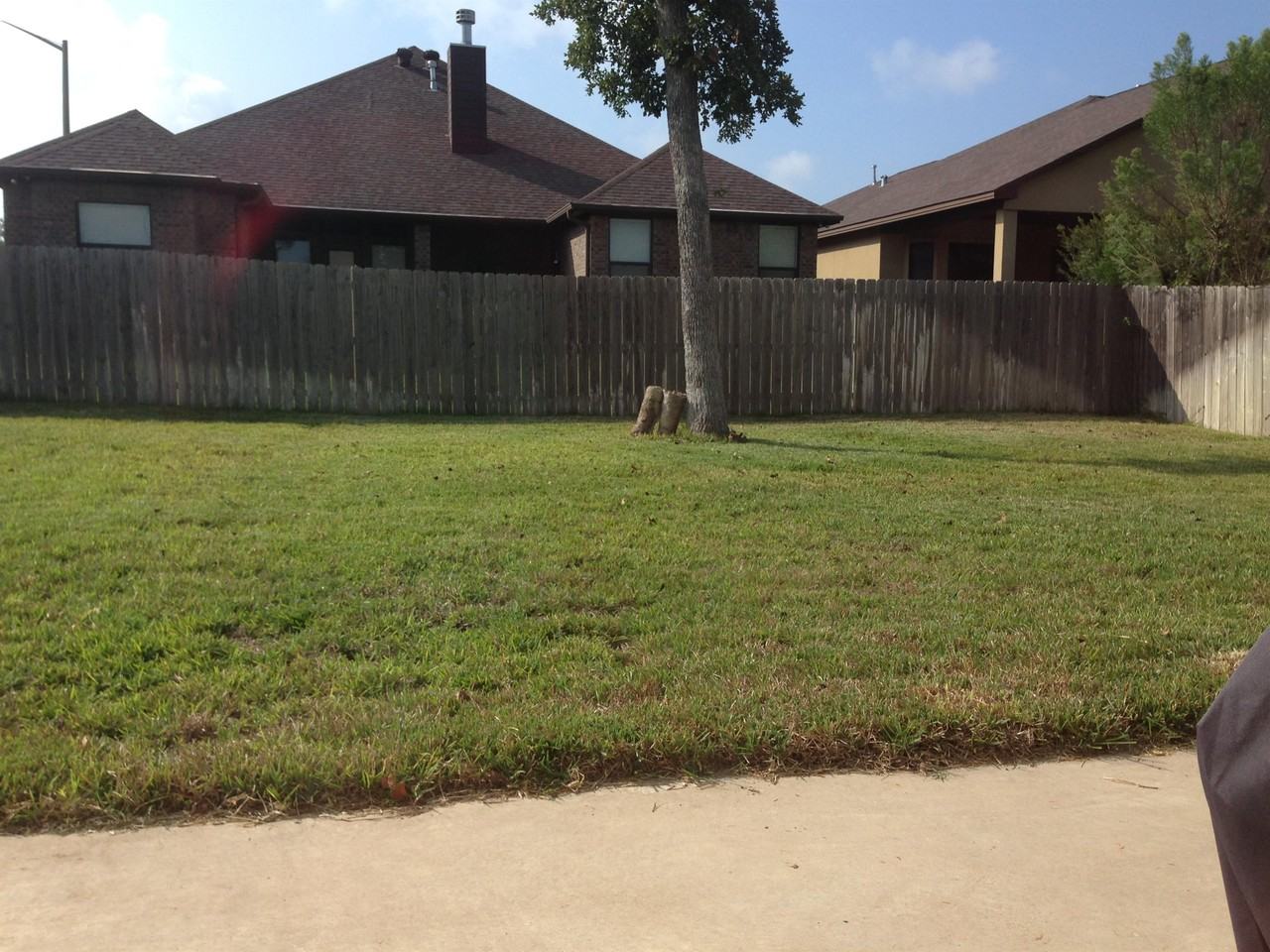 4248 Rocky Rhodes Dr #1 - Photo 4 of 46