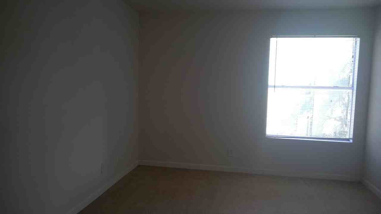 7407 Sugar Bend Dr #7407 - Photo 6 of 7