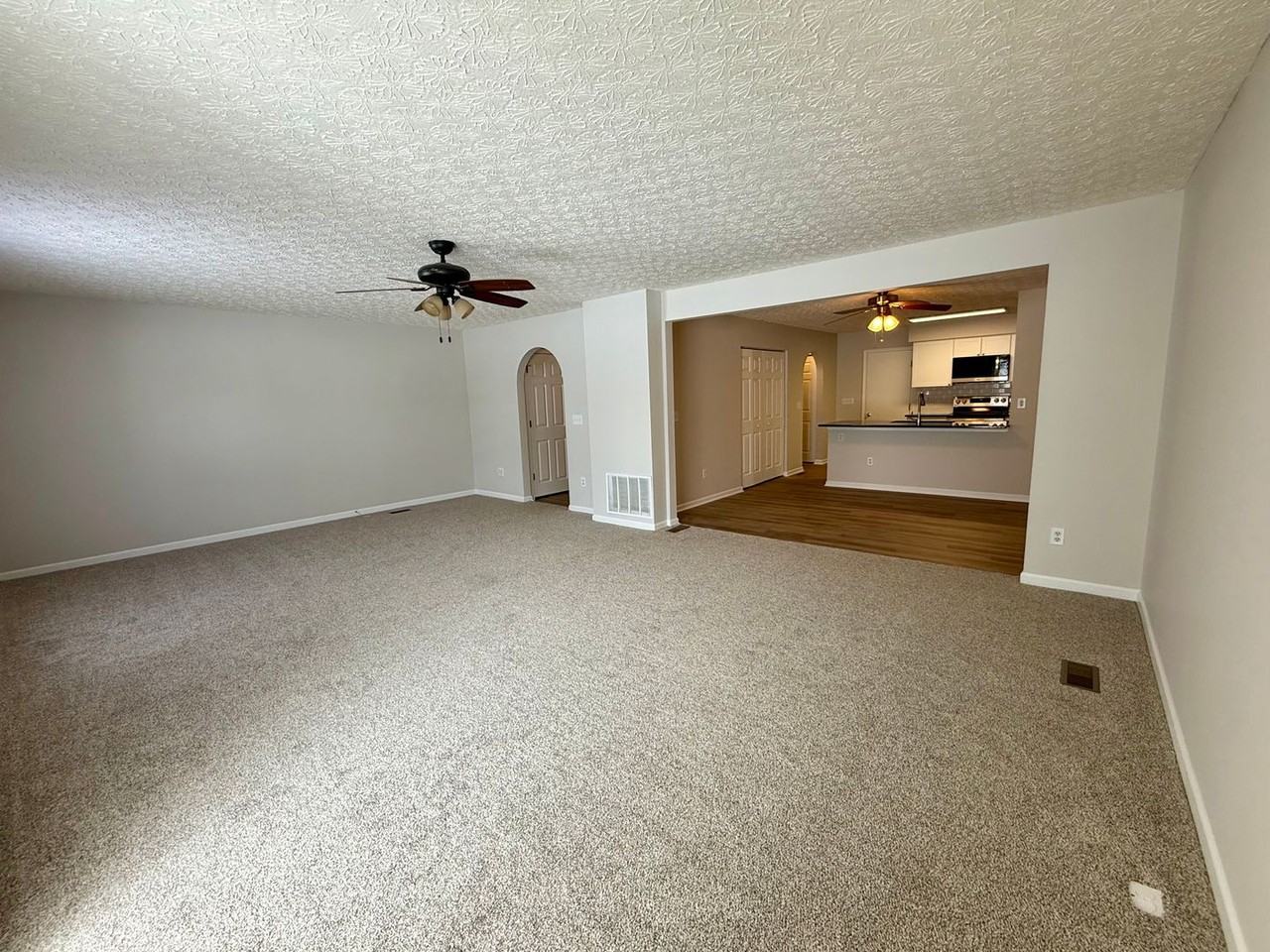 390 Golden Valley Dr - Photo 3 of 11