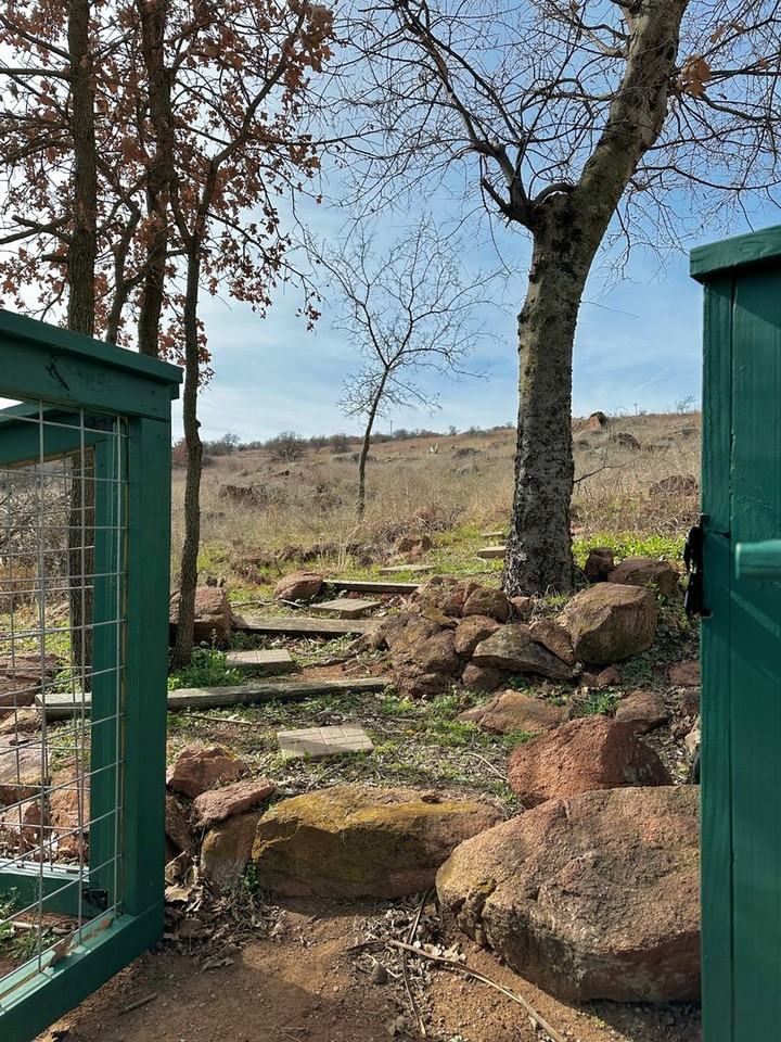 18412 State Highway 49 - Photo 7 of 50