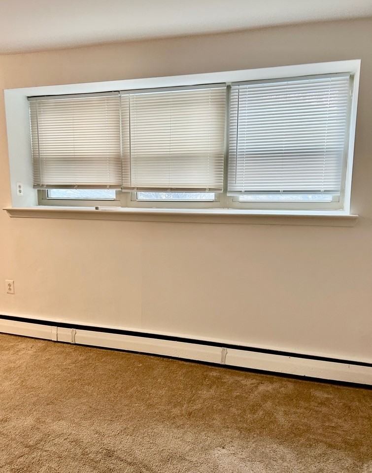 1100 Tyson AveA03 #A03 - Photo 4 of 7