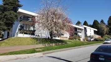 featured image of 1033 Fourth Ave