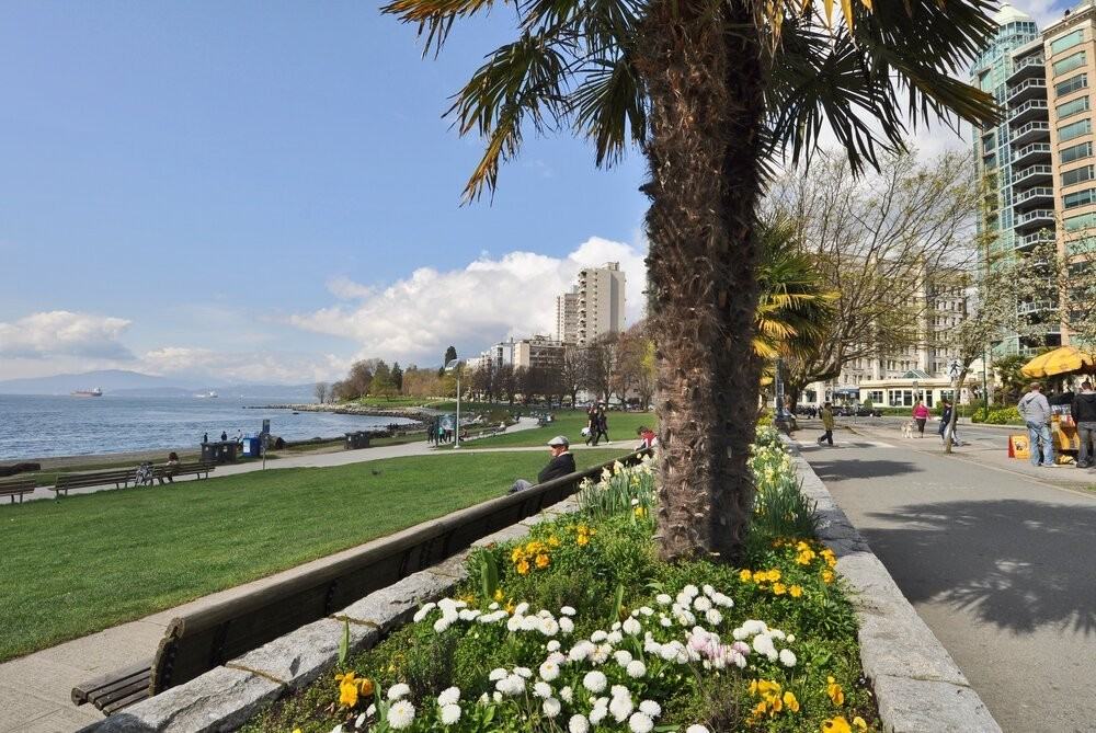 Beach Towers - Photo 4 of 27