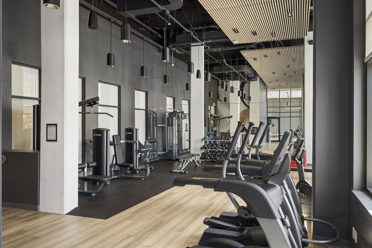 Element - Photo 7 of 50