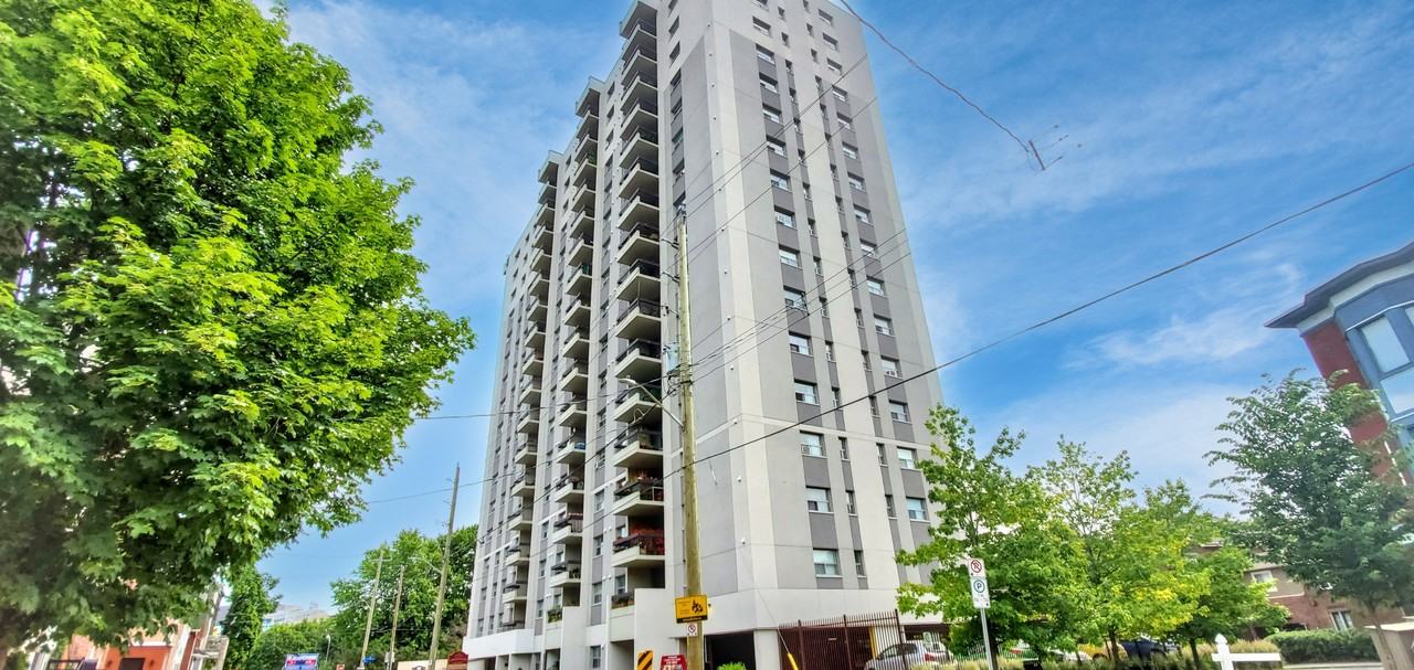 The Lamplighter - Photo 7 of 7