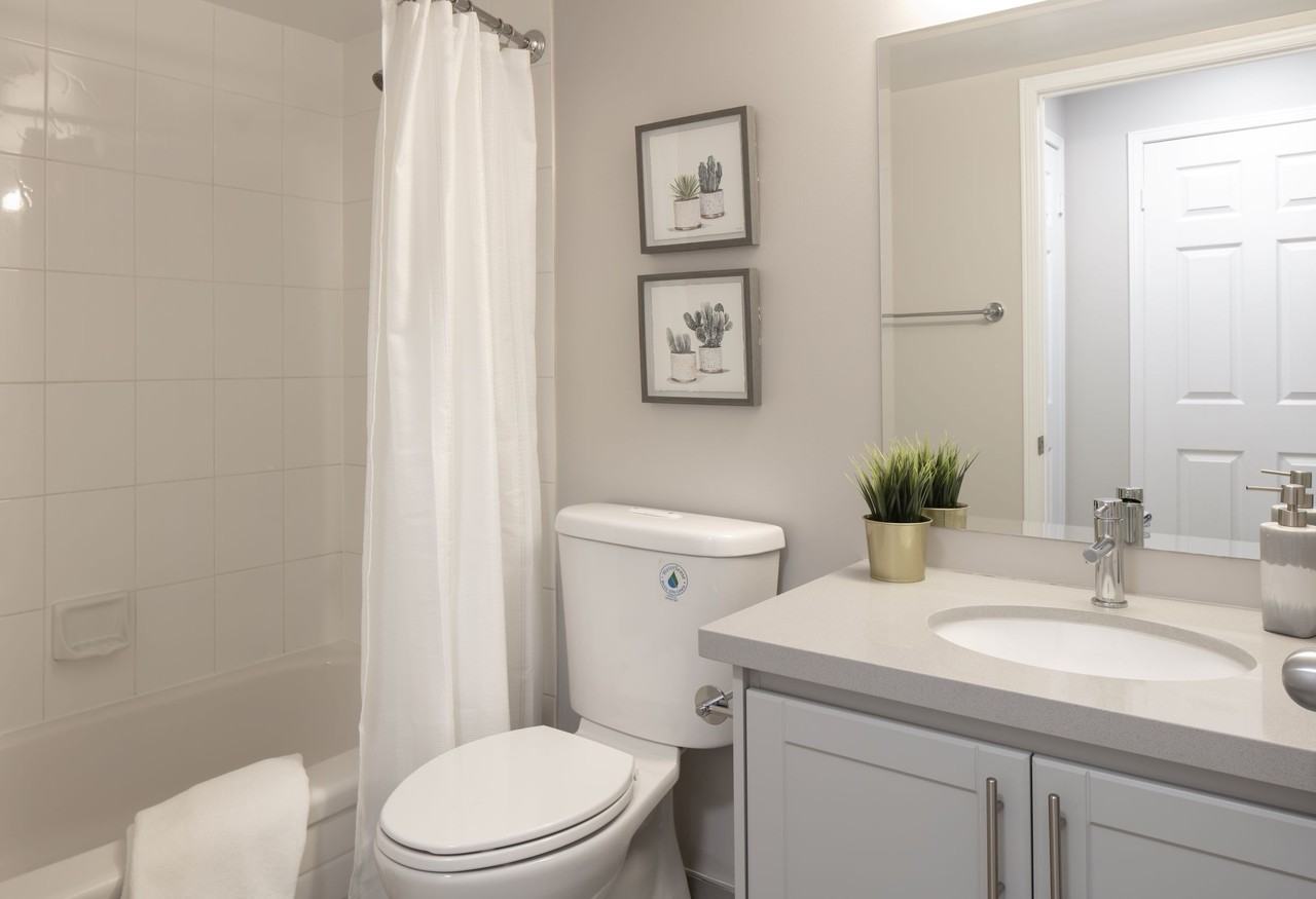 Prelude - Photo 6 of 11