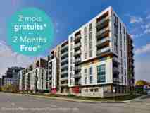 Le Vibe - Photo 1 of 1