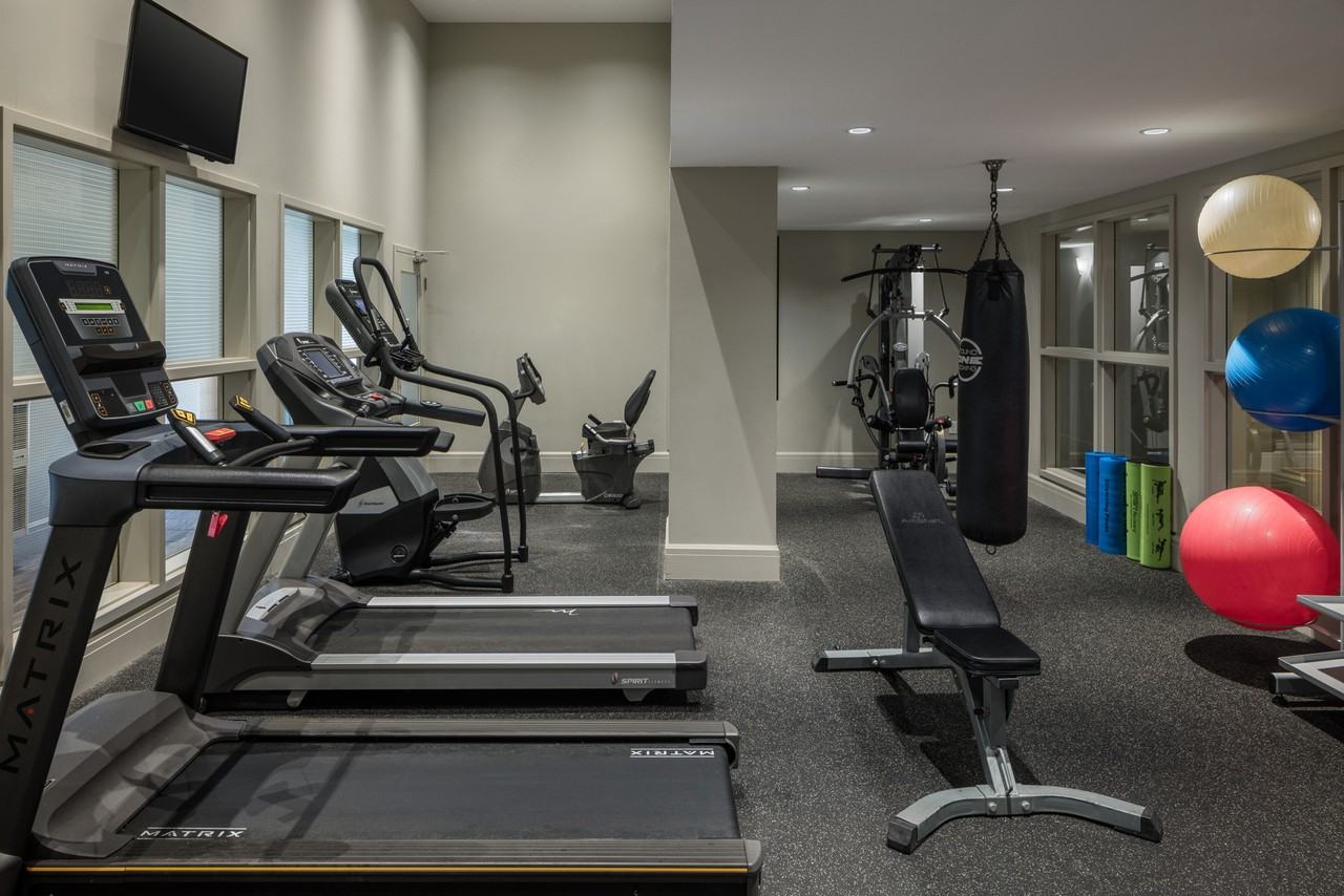 The Hazelton Apartments - Photo 7 of 24