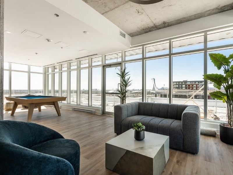 Mostra Maisonneuve - Photo 4 of 42