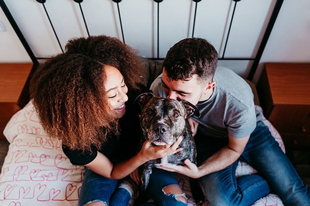 Aquitaine Avenue - Photo 7 of 50