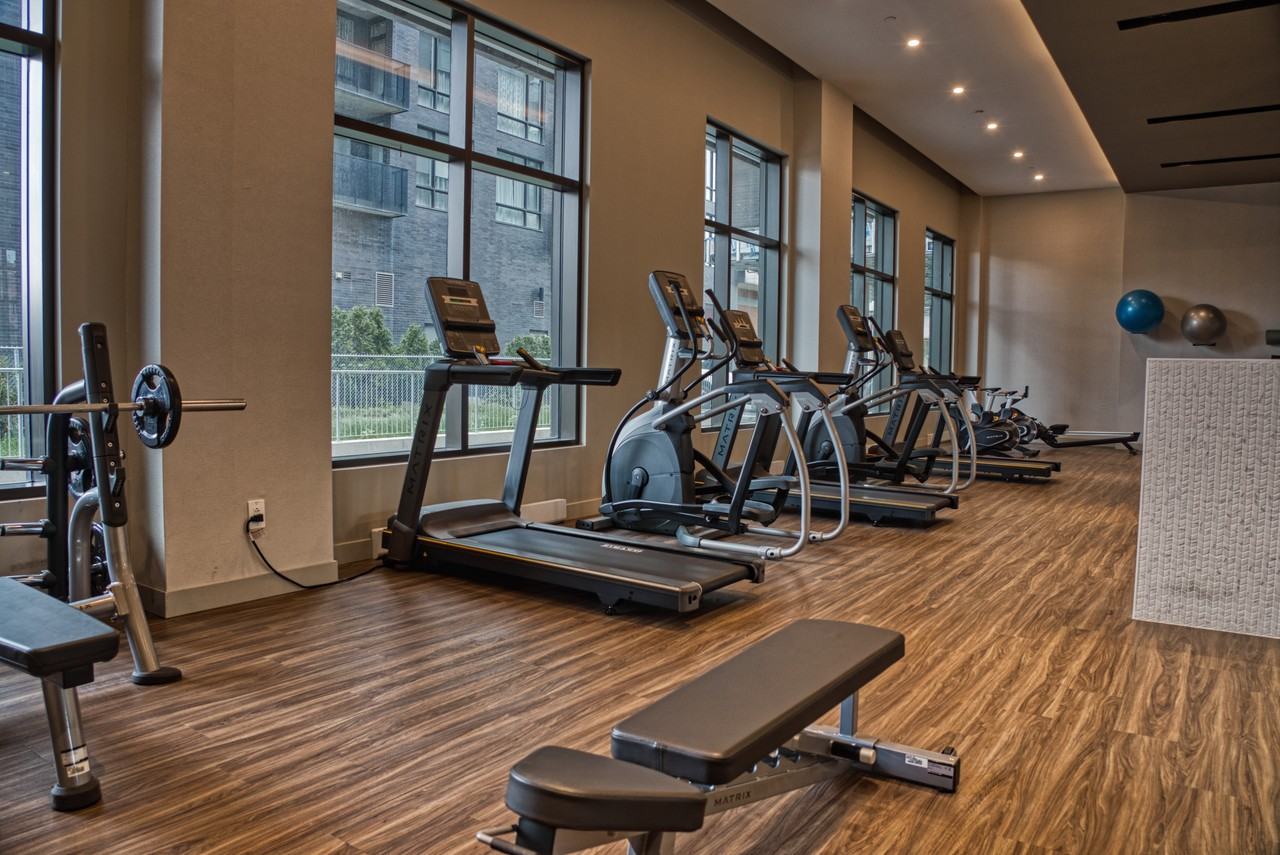 Le Carlyle - Photo 6 of 17