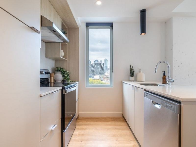 Haleco - Photo 3 of 21