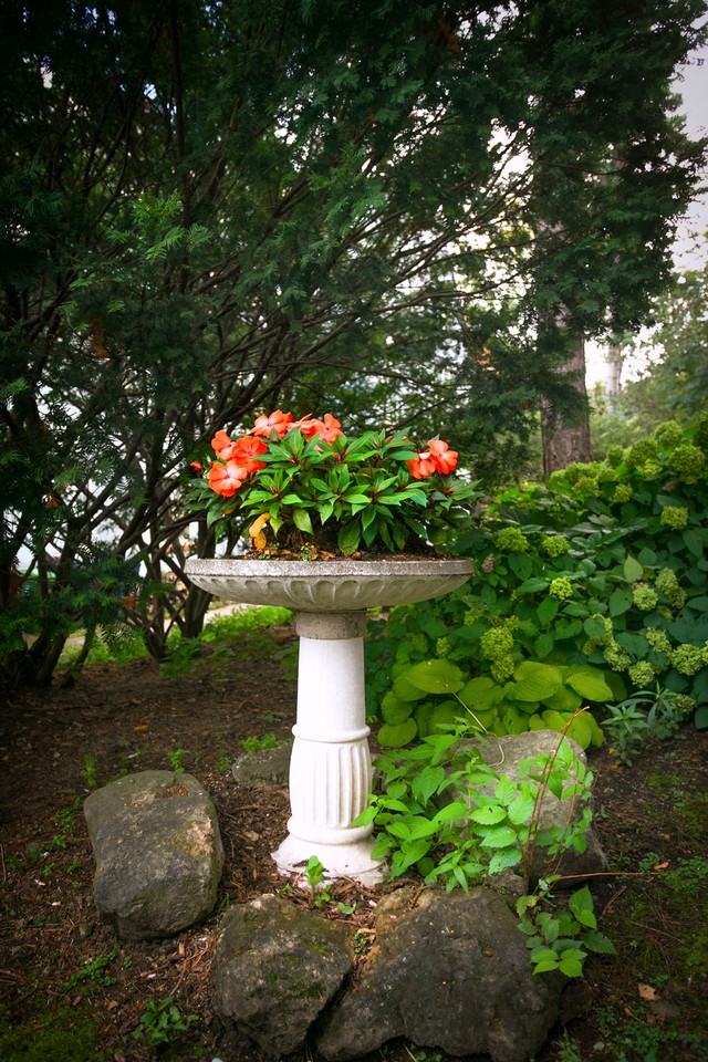 49 Glen Elm Ave - Photo 3 of 36