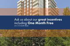 The Mayflower - Photo 1 of 1