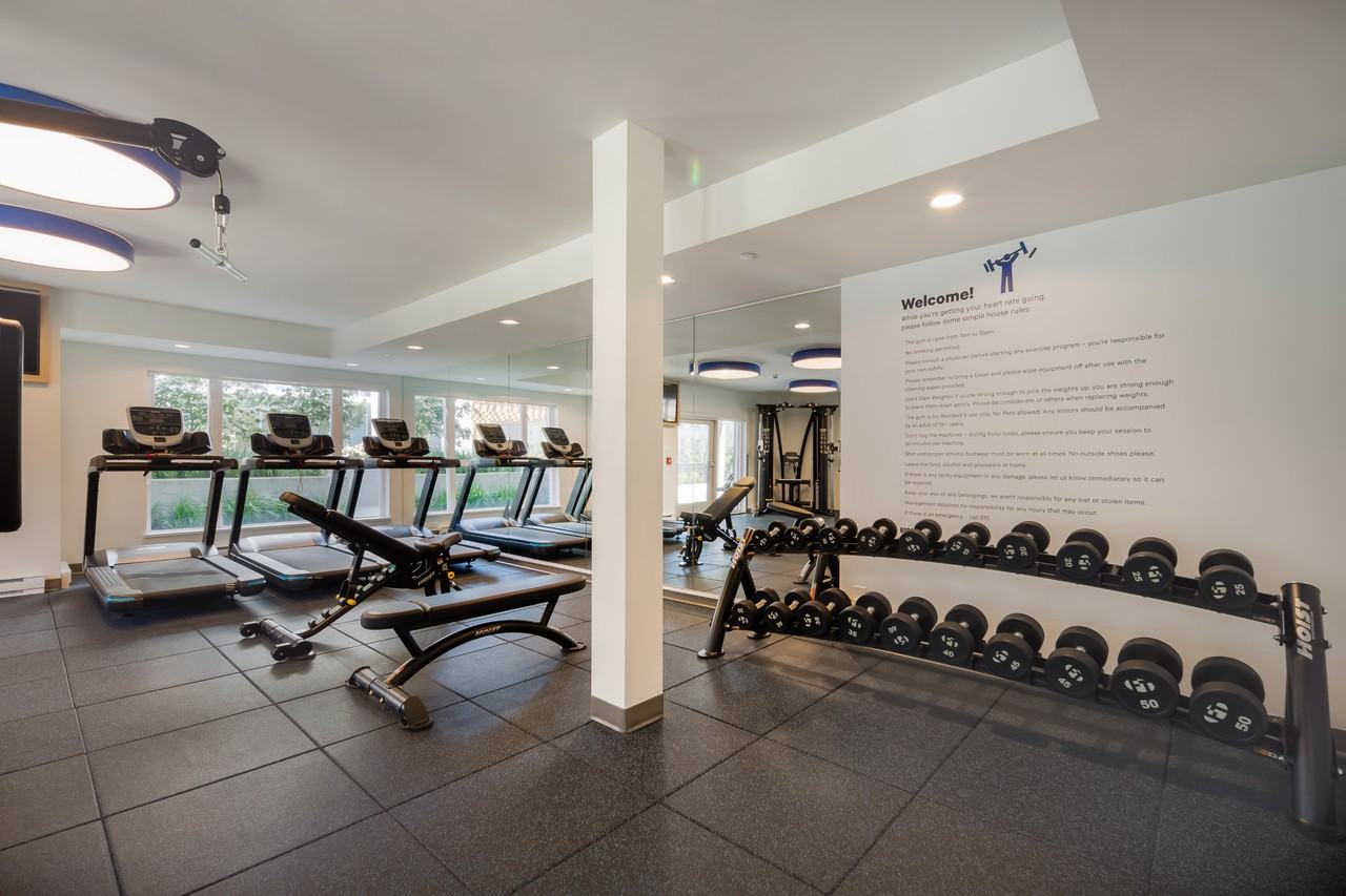 Foster - Photo 5 of 46