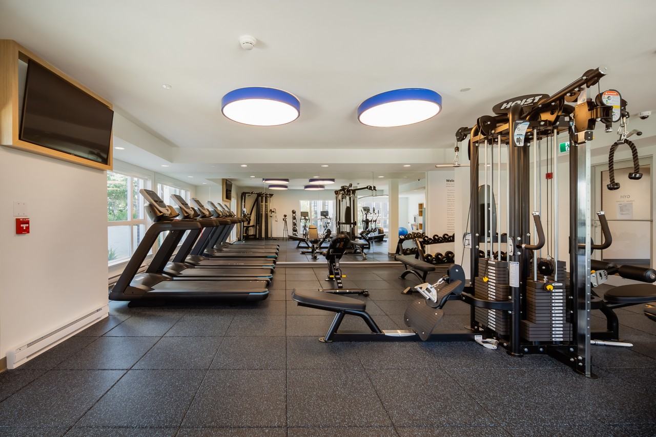 Foster - Photo 6 of 46