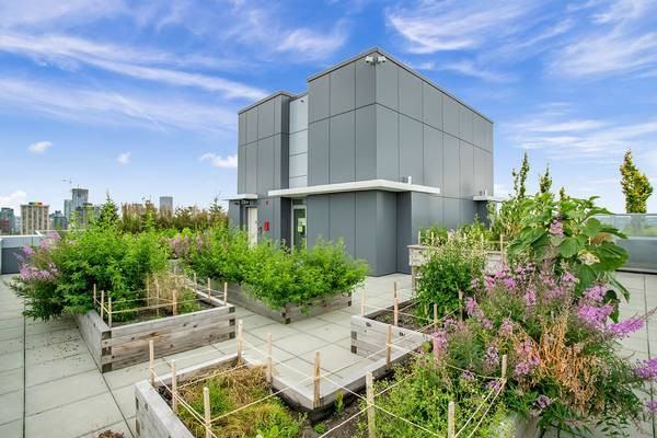 English Bay Residences - Photo 4 of 50