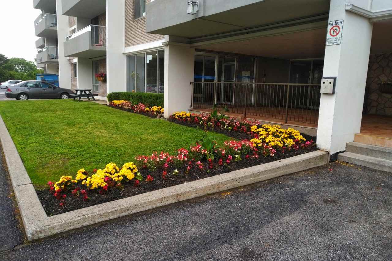 Markham Village - 5667 Hwy 7 - Photo 2 of 8