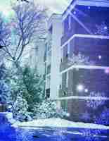 featured image of 325 Bogert Ave