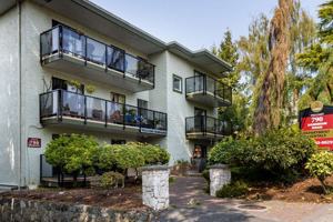 featured image of 790 788-790 Dominion Road