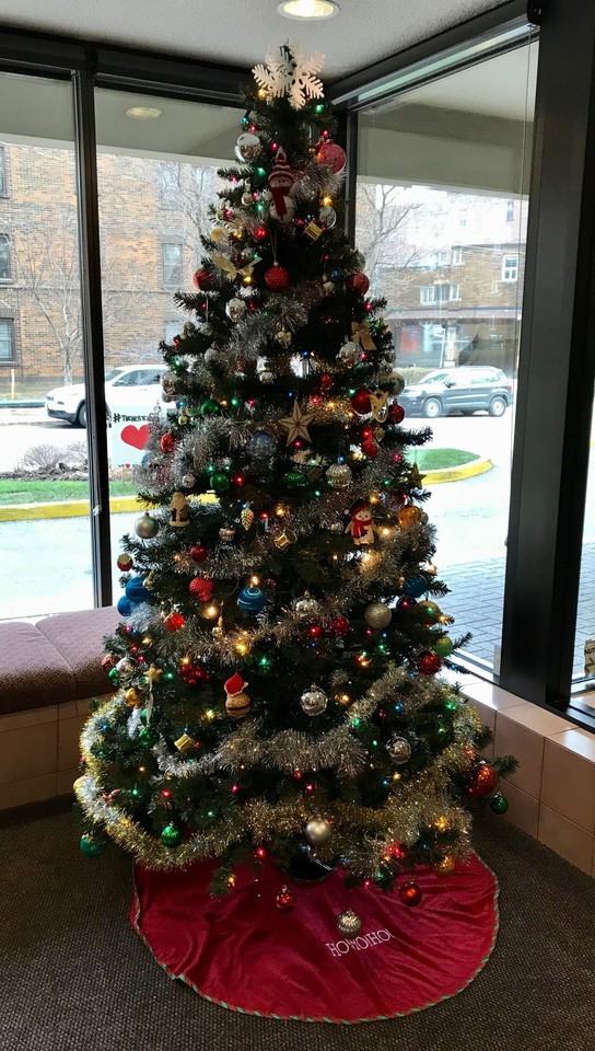 Tichester Gardens - Photo 4 of 12