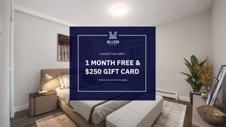 Empress - Photo 1 of 1