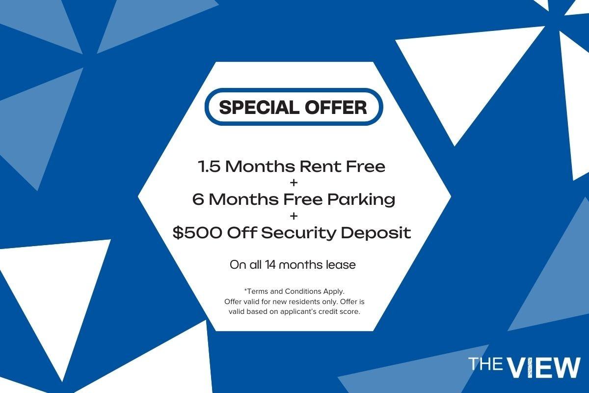 The View - Photo 2 of 14