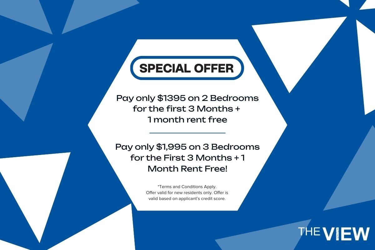 The View - Photo 4 of 14